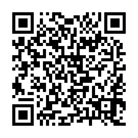 QR code for plate 25N 950