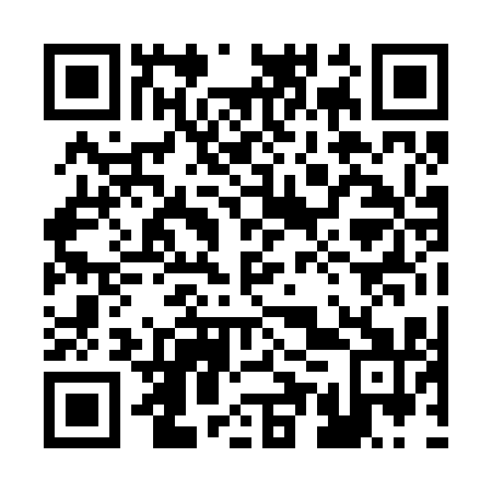 QR code for plate 25P 211