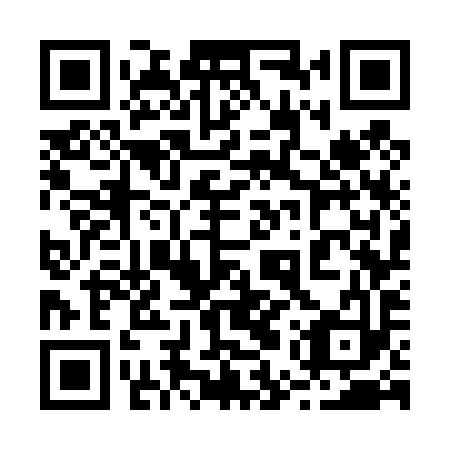 QR code for plate 25W 493