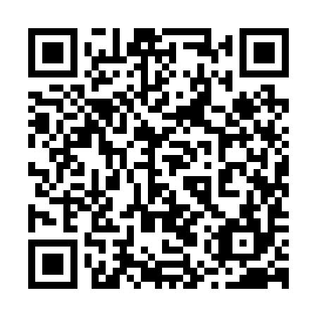 QR code for 25Y294