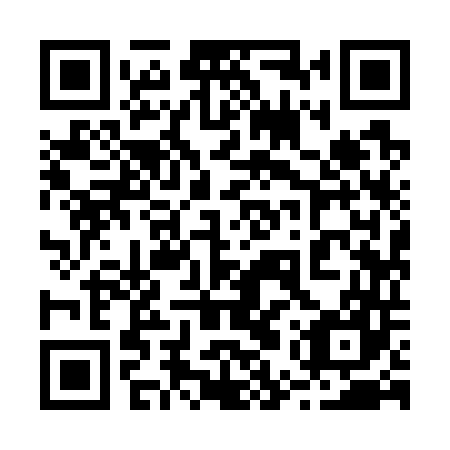 QR code for plate 25Y 747