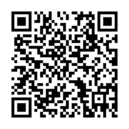 QR code for plate 26N 595