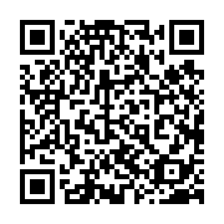QR code for plate 26P 638