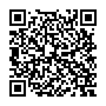 QR code for plate 26S 163