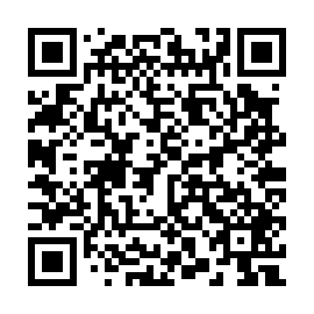 QR code for plate 28B P49