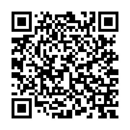 QR code for plate 28B XN0