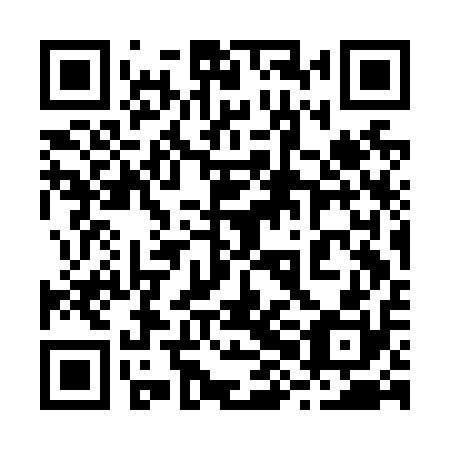 QR code for plate 28C N10