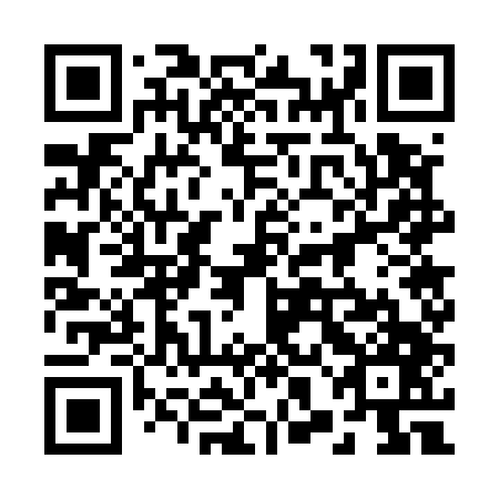 QR code for plate 28G 547