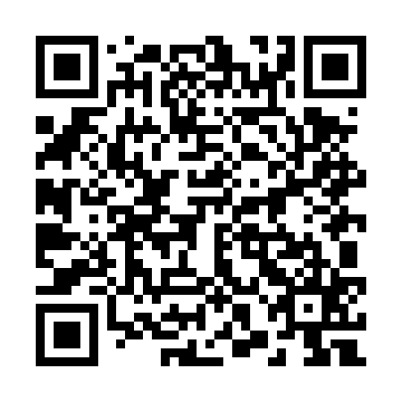 QR code for plate 28L DZ5