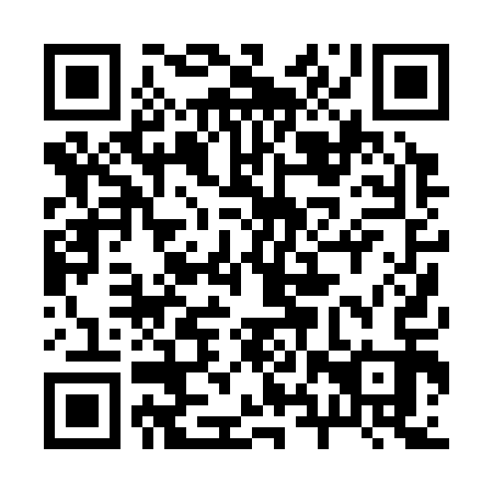 QR code for 28P 313
