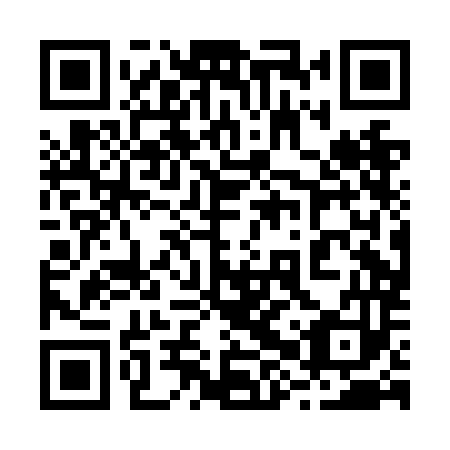 QR code for plate 28P NM3