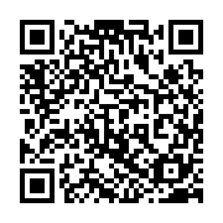QR code for plate 28Q 375