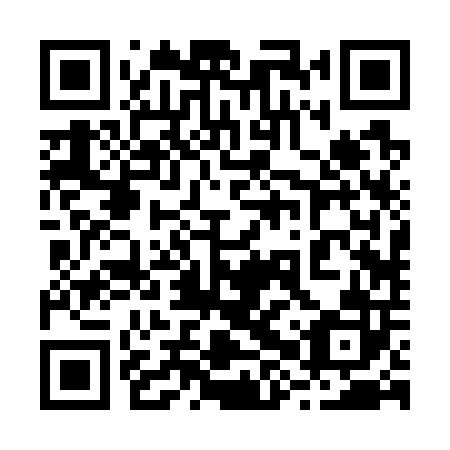 QR code for plate 28R 702