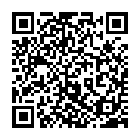 QR code for plate 28R 911