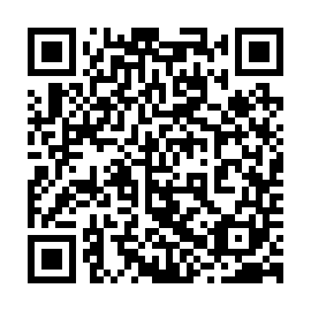 QR code for plate 28S 241