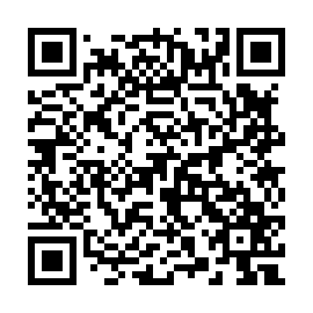 QR code for plate 28S 867