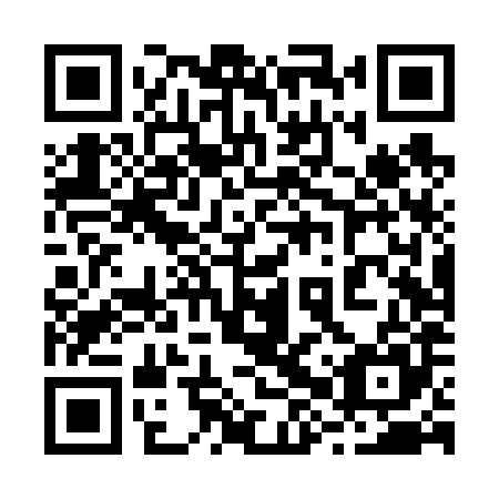 QR code for plate 28T V85