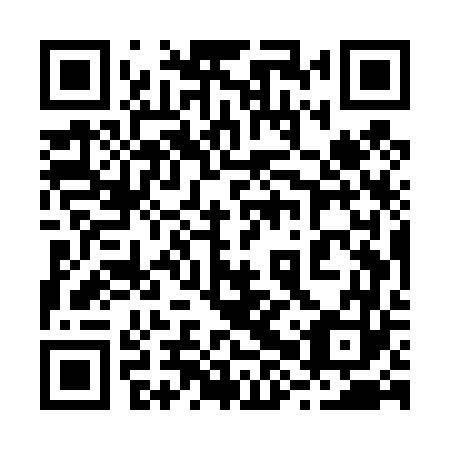 QR code for plate 28U T63