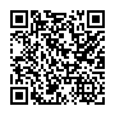 QR code for plate 28V H46