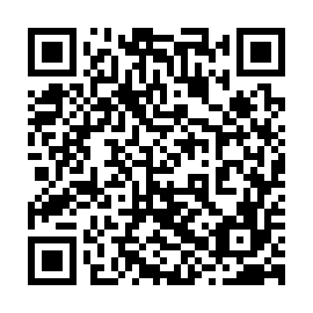 QR code for plate 28W 356