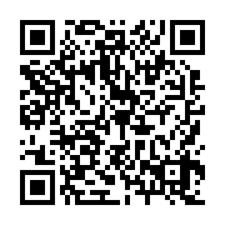 QR code for 28X 238