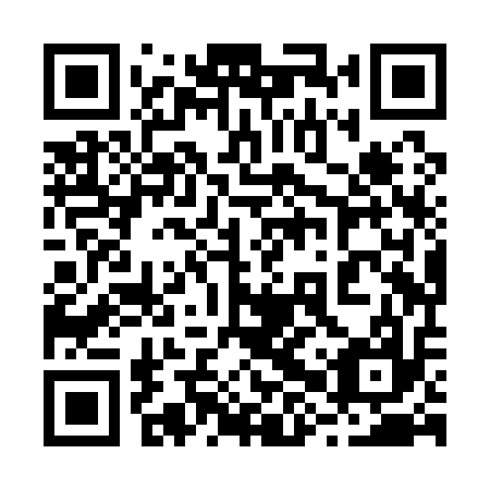 QR code for plate 28X Q17