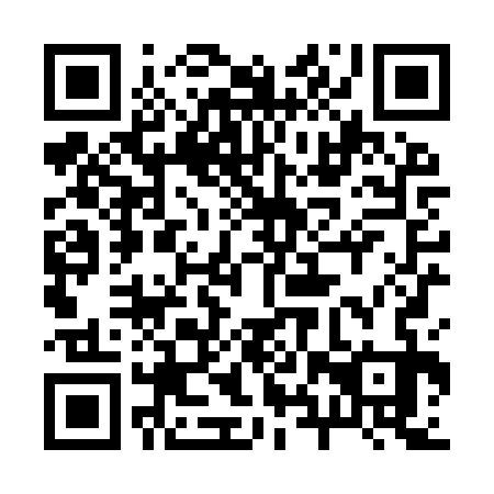 QR code for plate 28X YS3