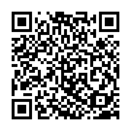 QR code for plate 28Z H38