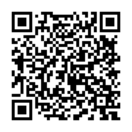 QR code for plate 29A 863
