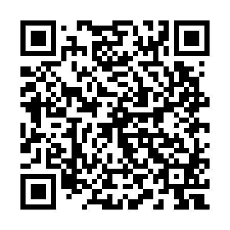 QR code for plate 29A G80