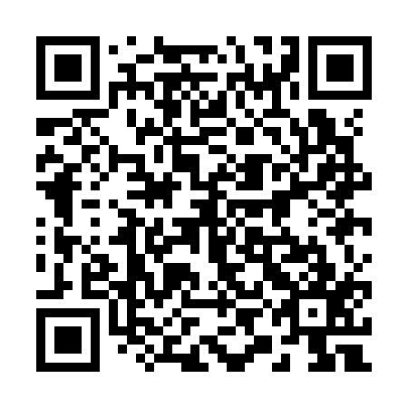 QR code for plate 29A K17