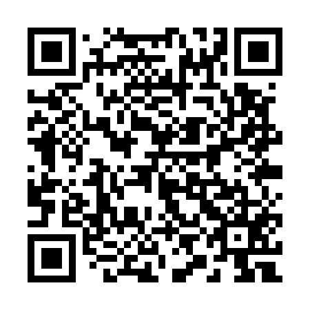 QR code for 29AU55