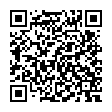 QR code for 29BFV3