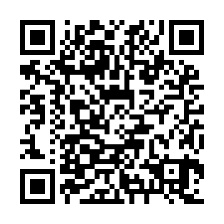 QR code for plate 29B YJ1