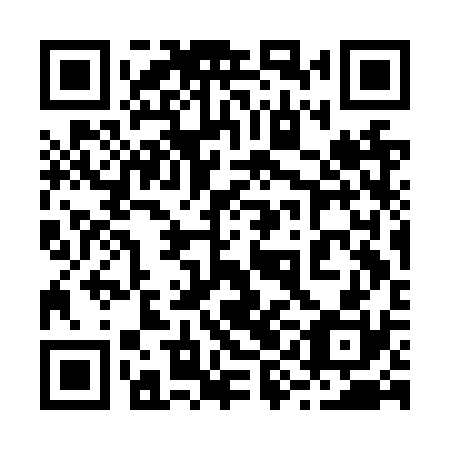 QR code for plate 29C NS0