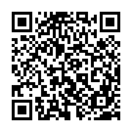 QR code for 29D P66