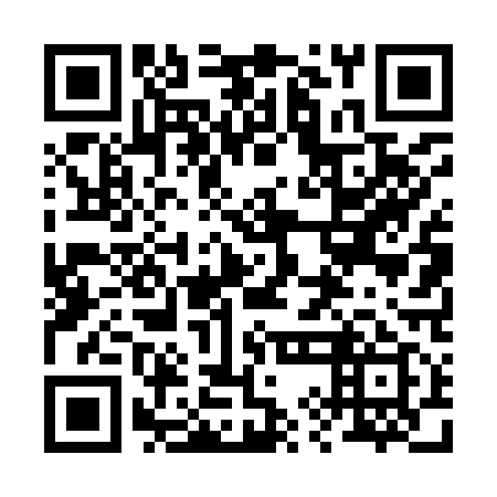 QR code for 29D919