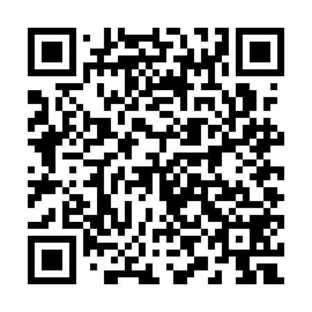 QR code for plate 29D AE8