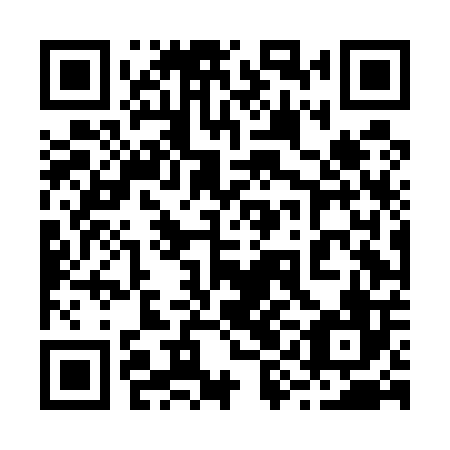 QR code for 29DE06