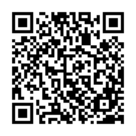QR code for 29DP46