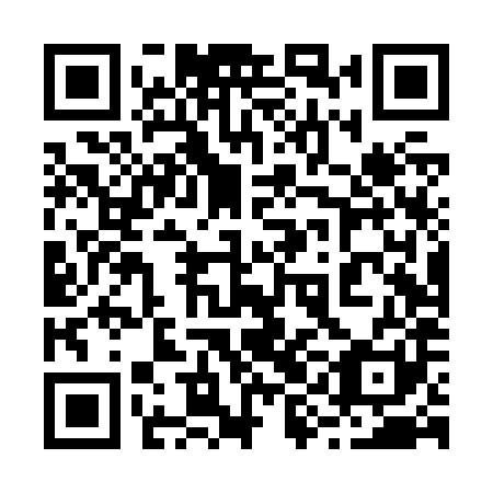 QR code for 29DZ81