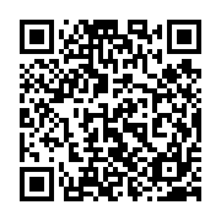 QR code for 29E V17