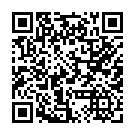 QR code for plate 29E 197