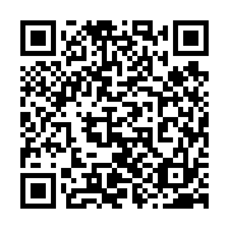 QR code for plate 29E 633