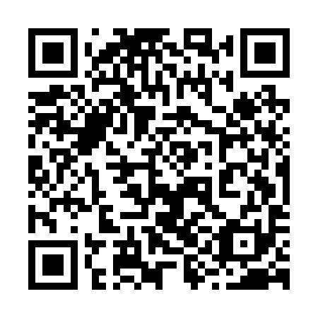 QR code for plate 29E B91