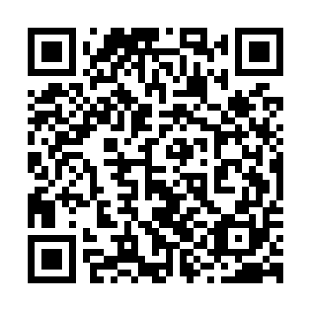 QR code for plate 29E O50