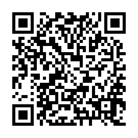 QR code for plate 29E Y96