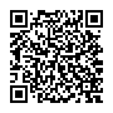 QR code for plate 29F PV9