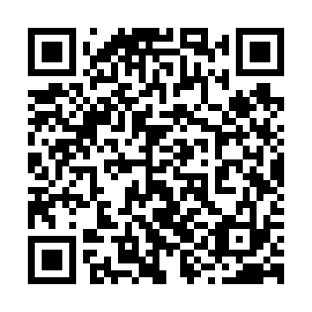 QR code for 29FV33