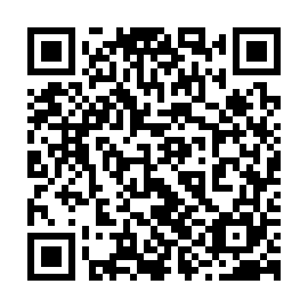 QR code for 29G365